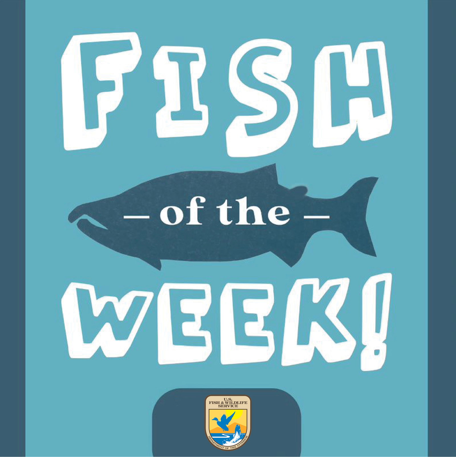 Episode cover art for Coastal Cutthroat Trout