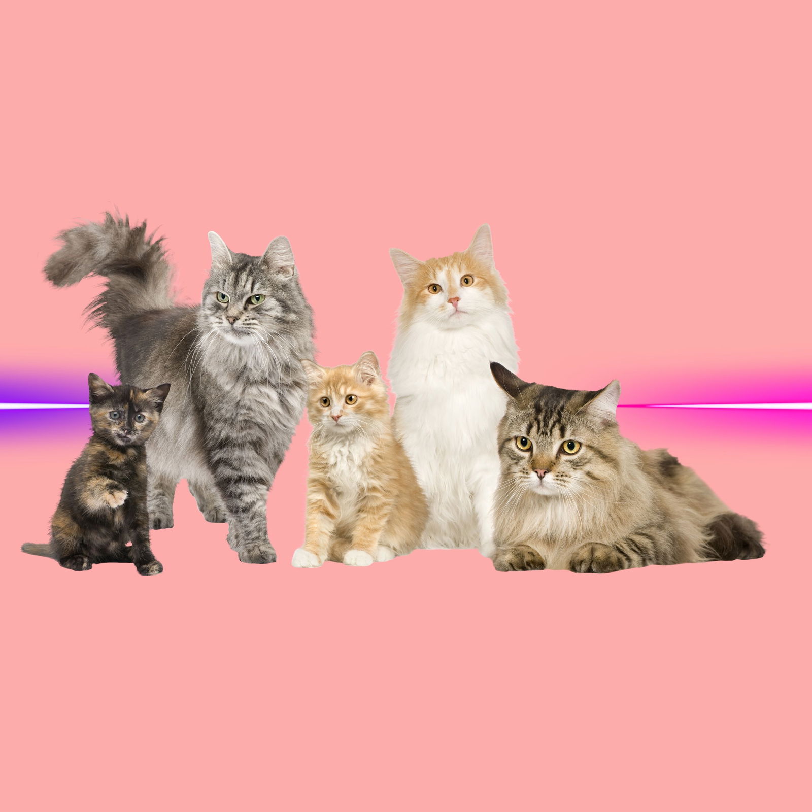 Schedule for Mar 7th at 10:15am