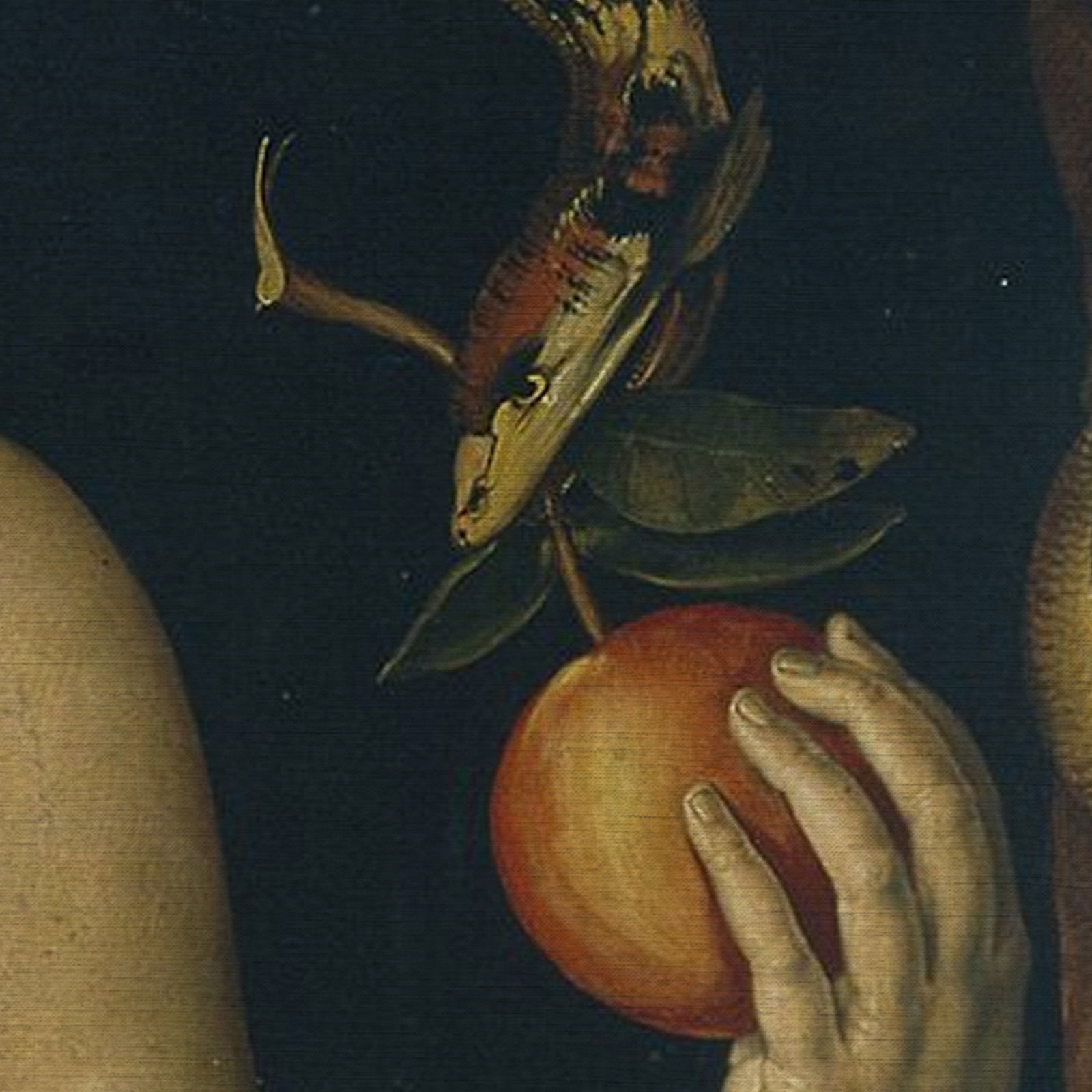 Do We Make Morality, or Discover It? An Examination of the Basis of Natural Law – Dr. Erik Dempsey