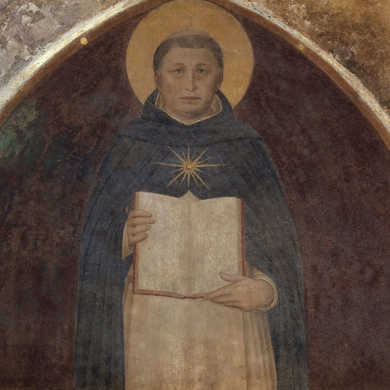 The Summa Illuminated: A Guide to St. Thomas Aquinas’s Masterpiece - Fr. Cajetan Cuddy, O.P.