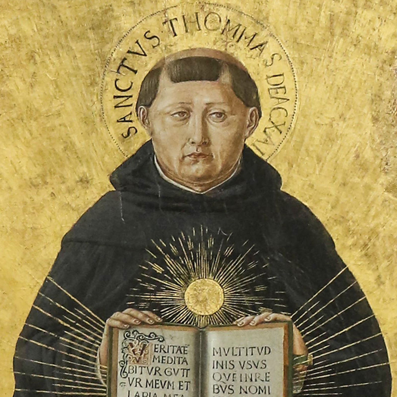 St. Thomas Aquinas on the Beatitudes – Fr. Anton ten Klooster