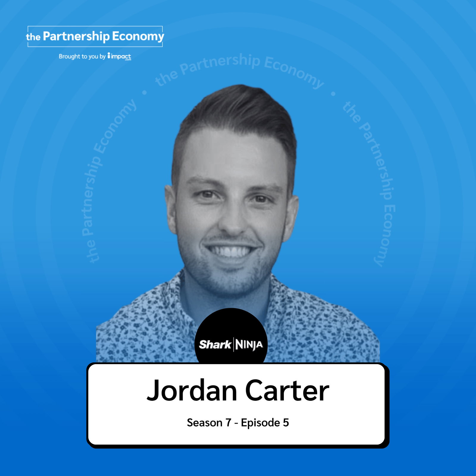 Episode cover art