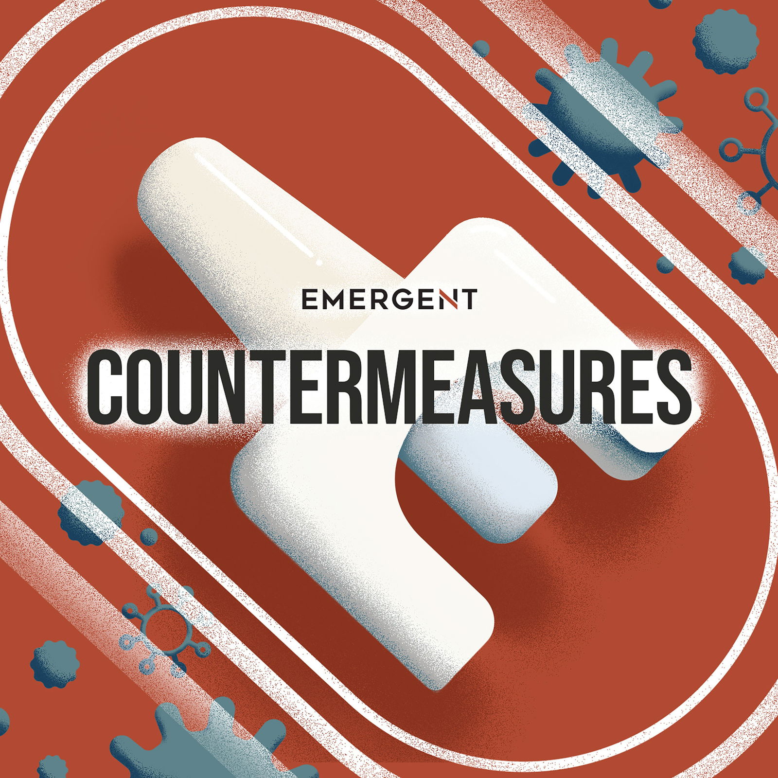 BONUS: The role of government in combating the opioid crisis