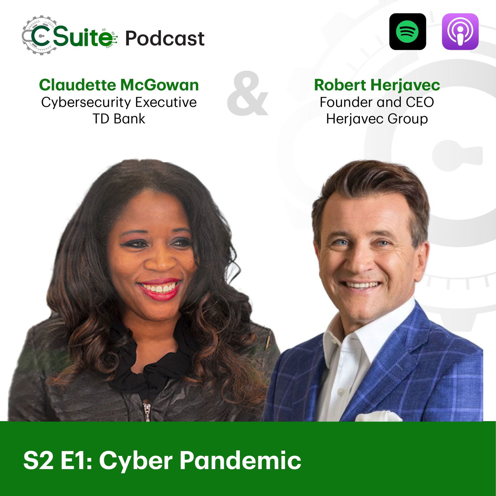 Cyber Pandemic