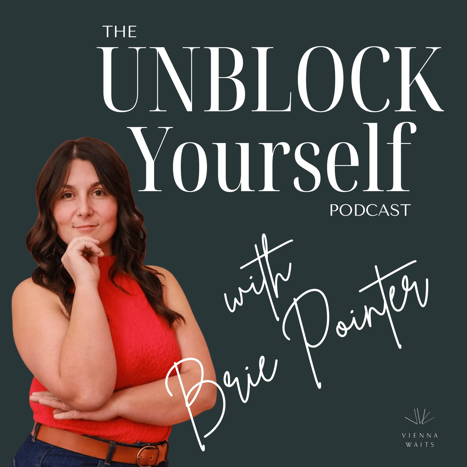 Episode cover art