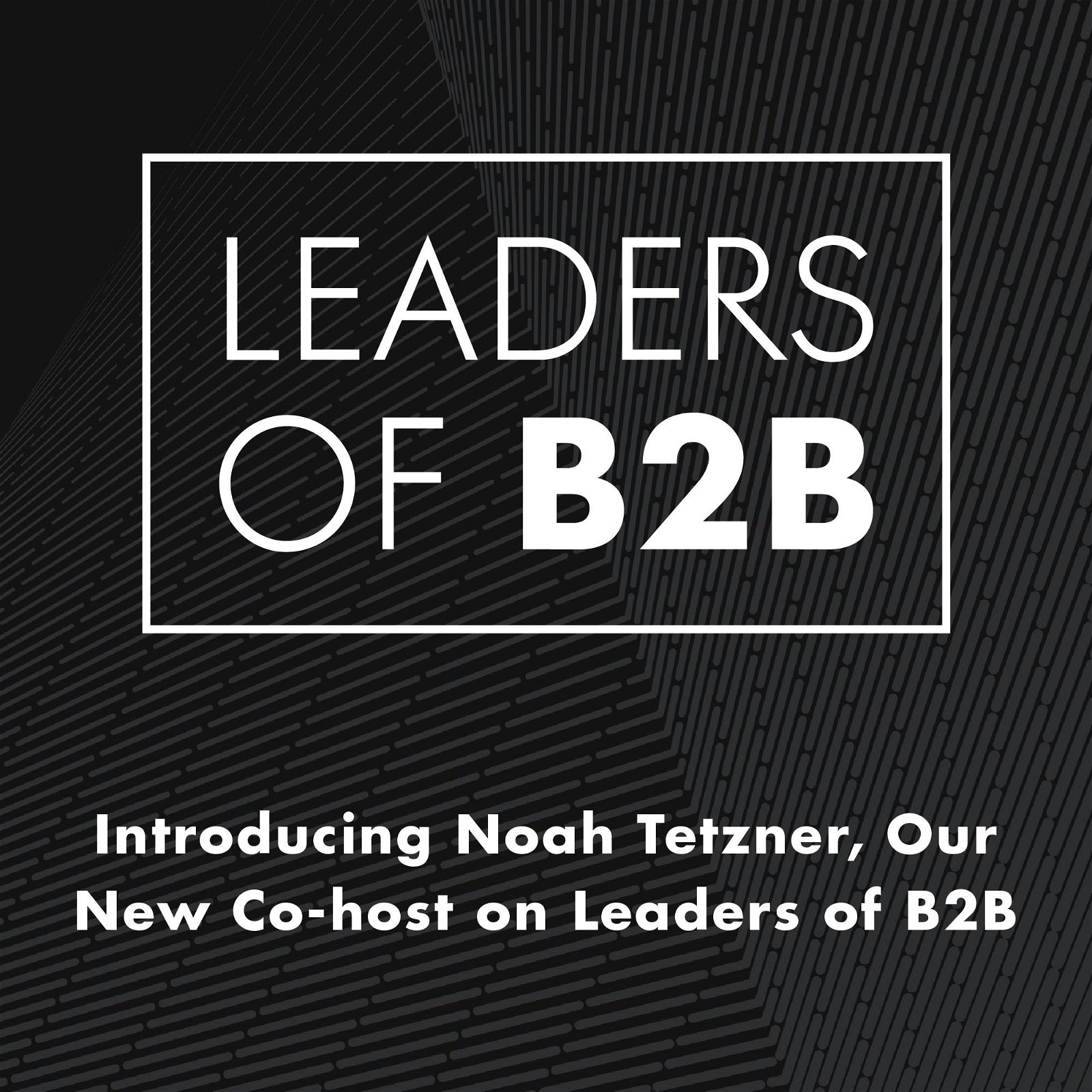 Introducing Noah Tetzner, Our New Co-host on Leaders of B2B