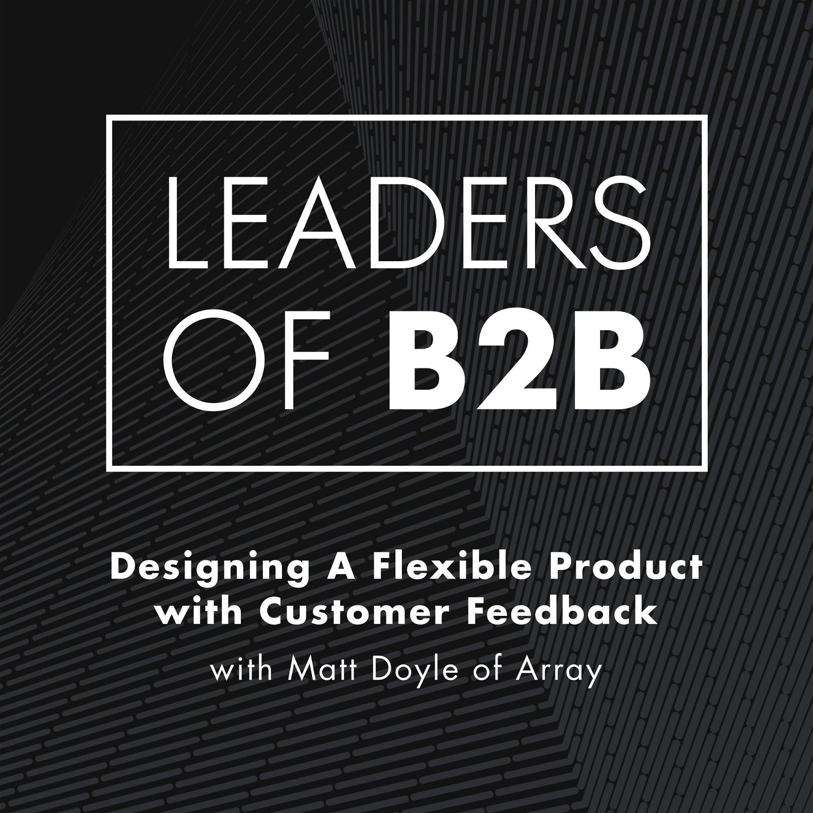 Designing a Flexible Product with Customer Feedback with Matt Doyle of Array