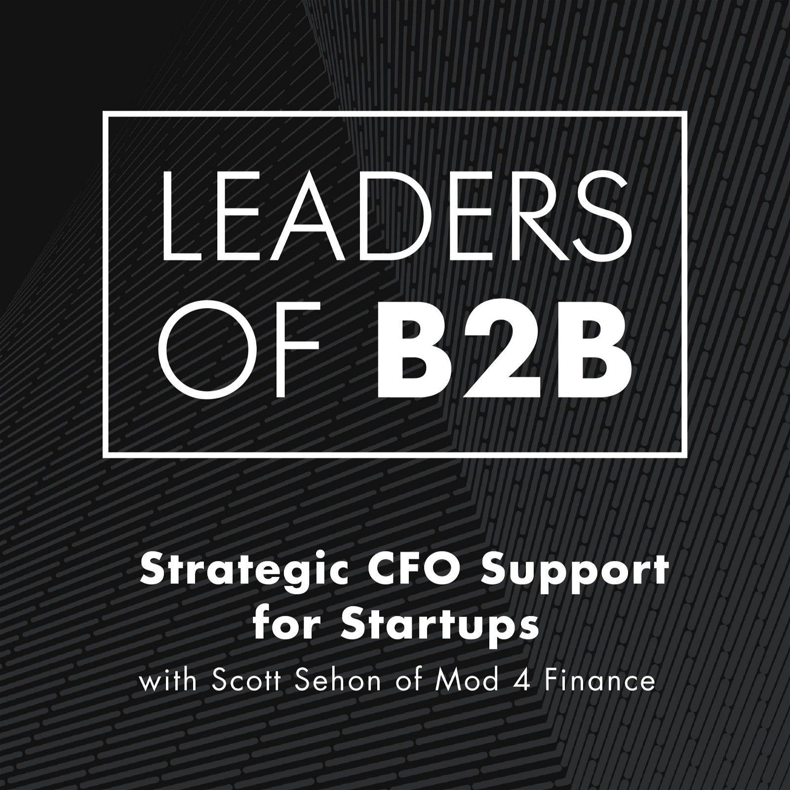 Strategic CFO Support for Startups with Scott Sehon of Mod 4 Finance