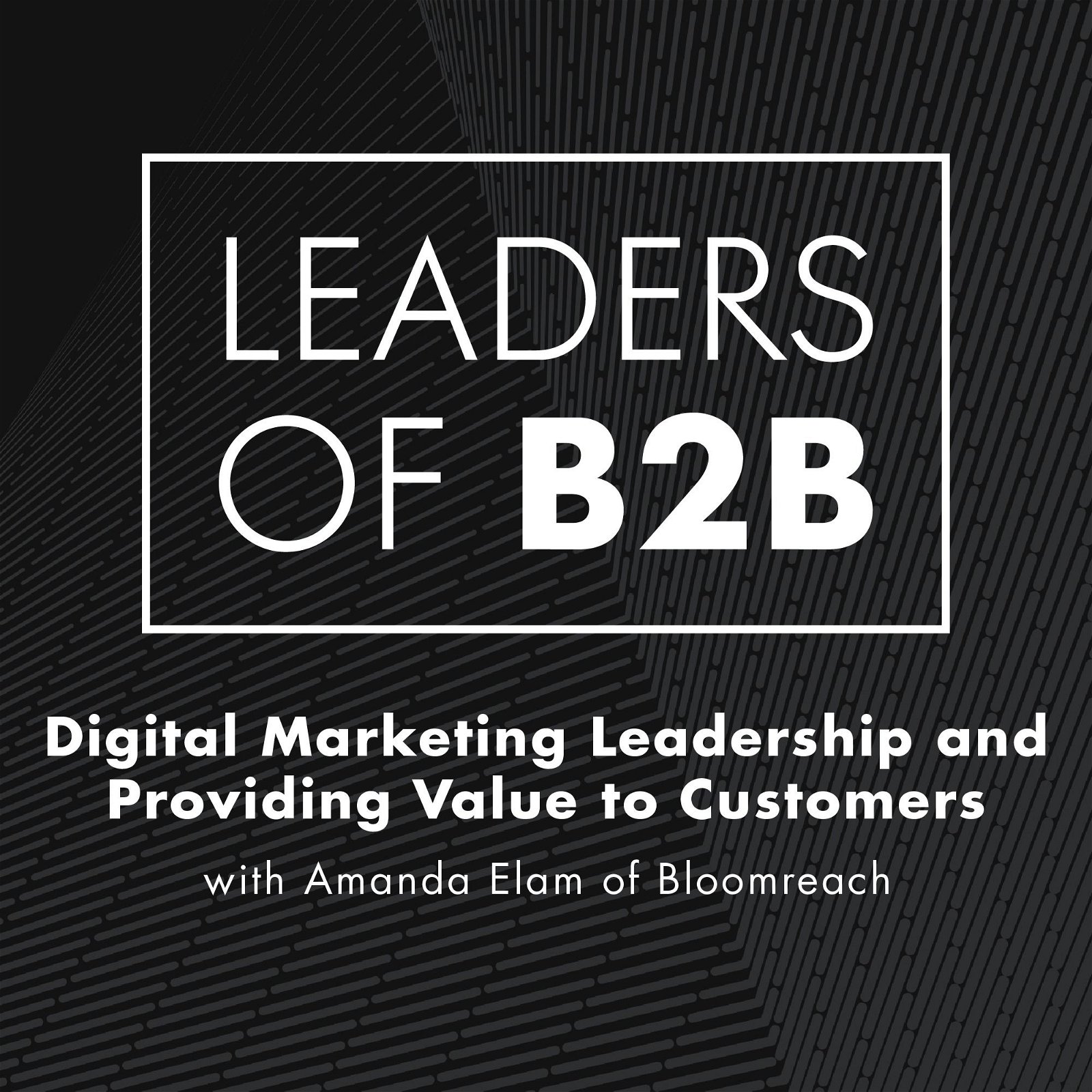 Digital Marketing Leadership and Providing Value to Customers with Amanda Elam of Bloomreach