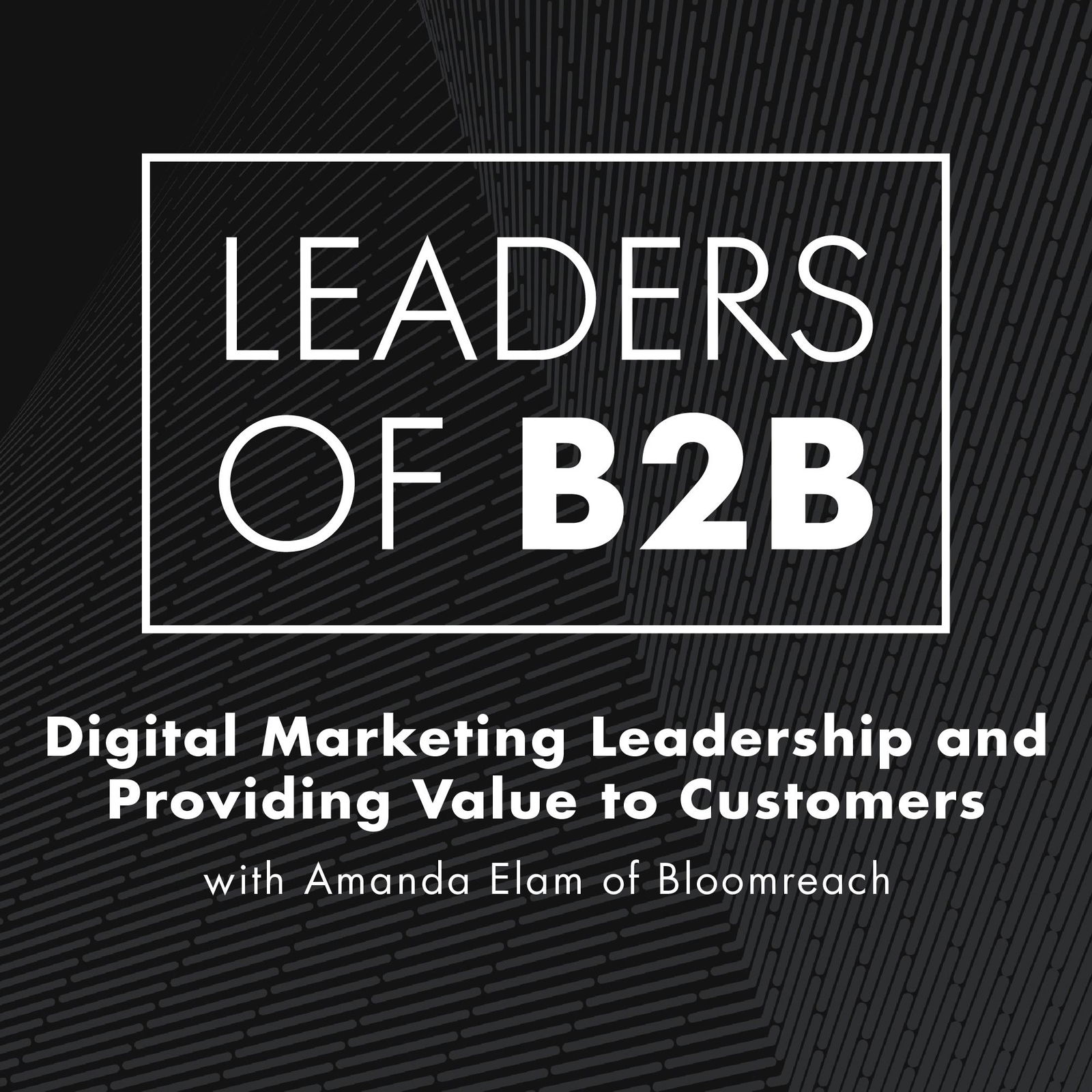 Leaders of B2B Podcast - Interviews on Business Leadership, B2B Sales, B2B Marketing and Revenue Growth