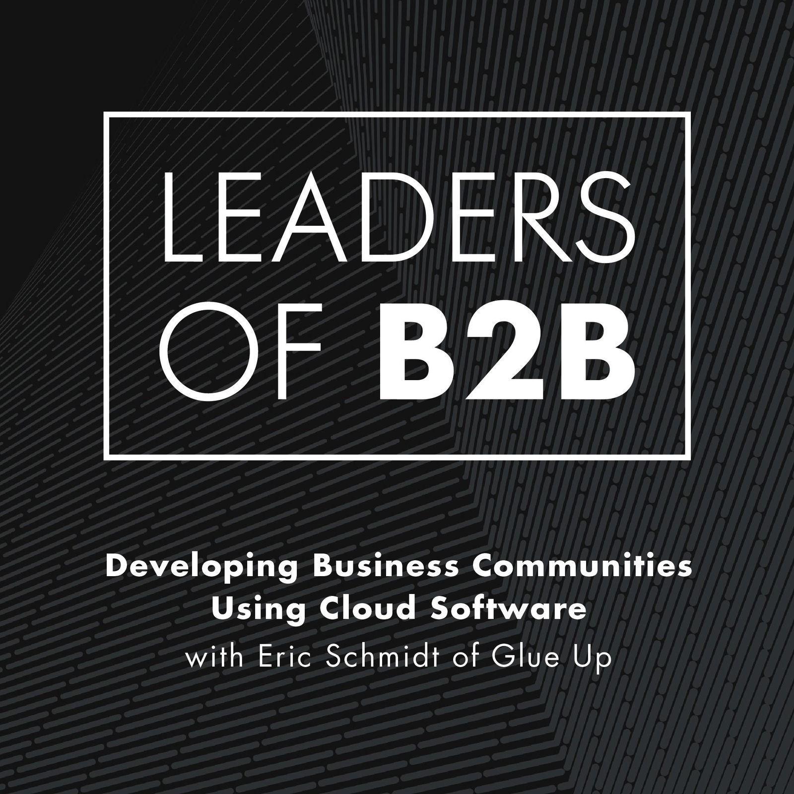 Leaders of B2B Podcast - Interviews on Business Leadership, B2B Sales, B2B Marketing and Revenue Growth