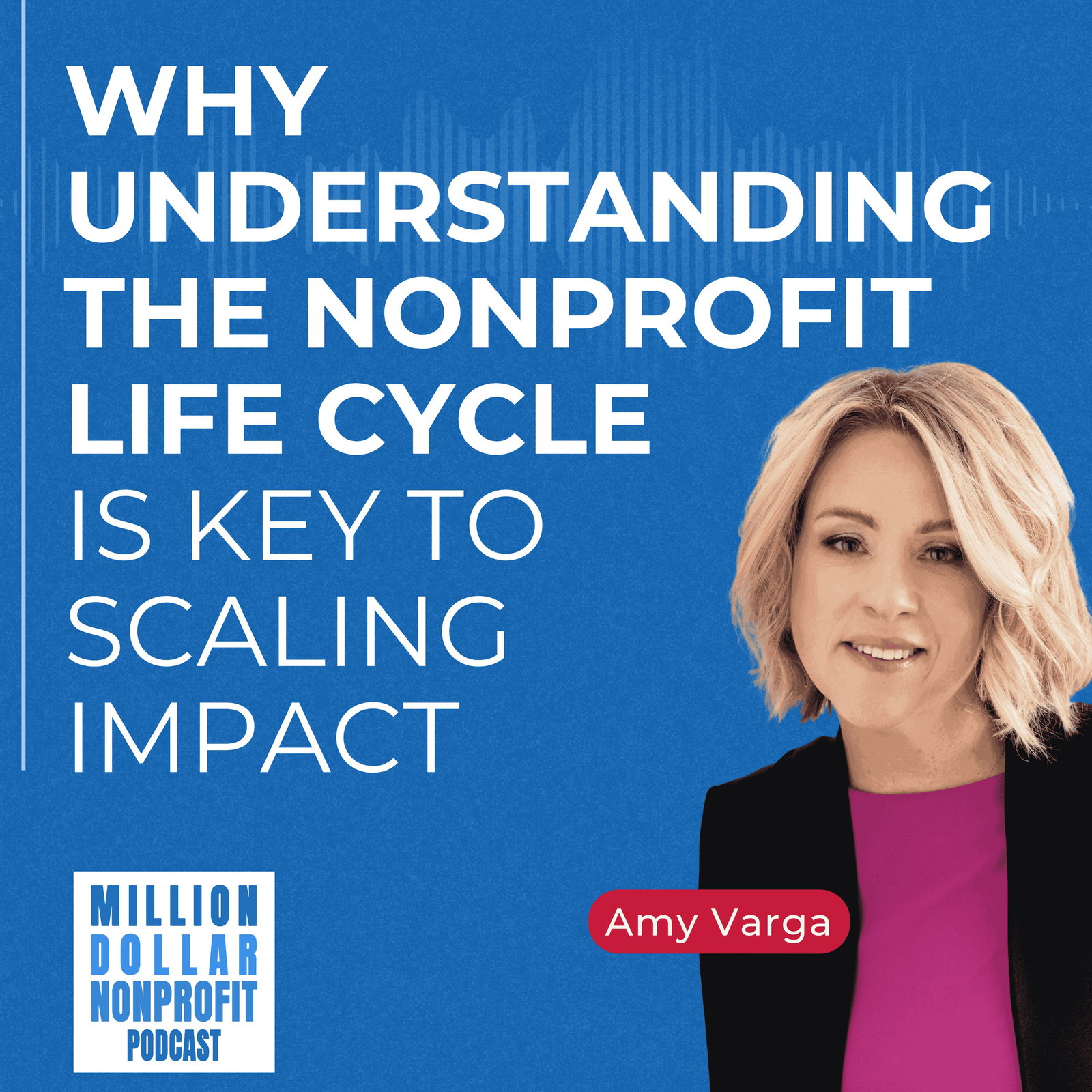 Why Understanding the Nonprofit Life Cycle is Key to Scaling Impact