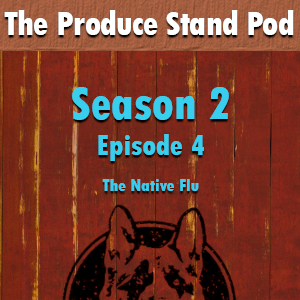 Episode cover art for Episode 0204: The Native Flu