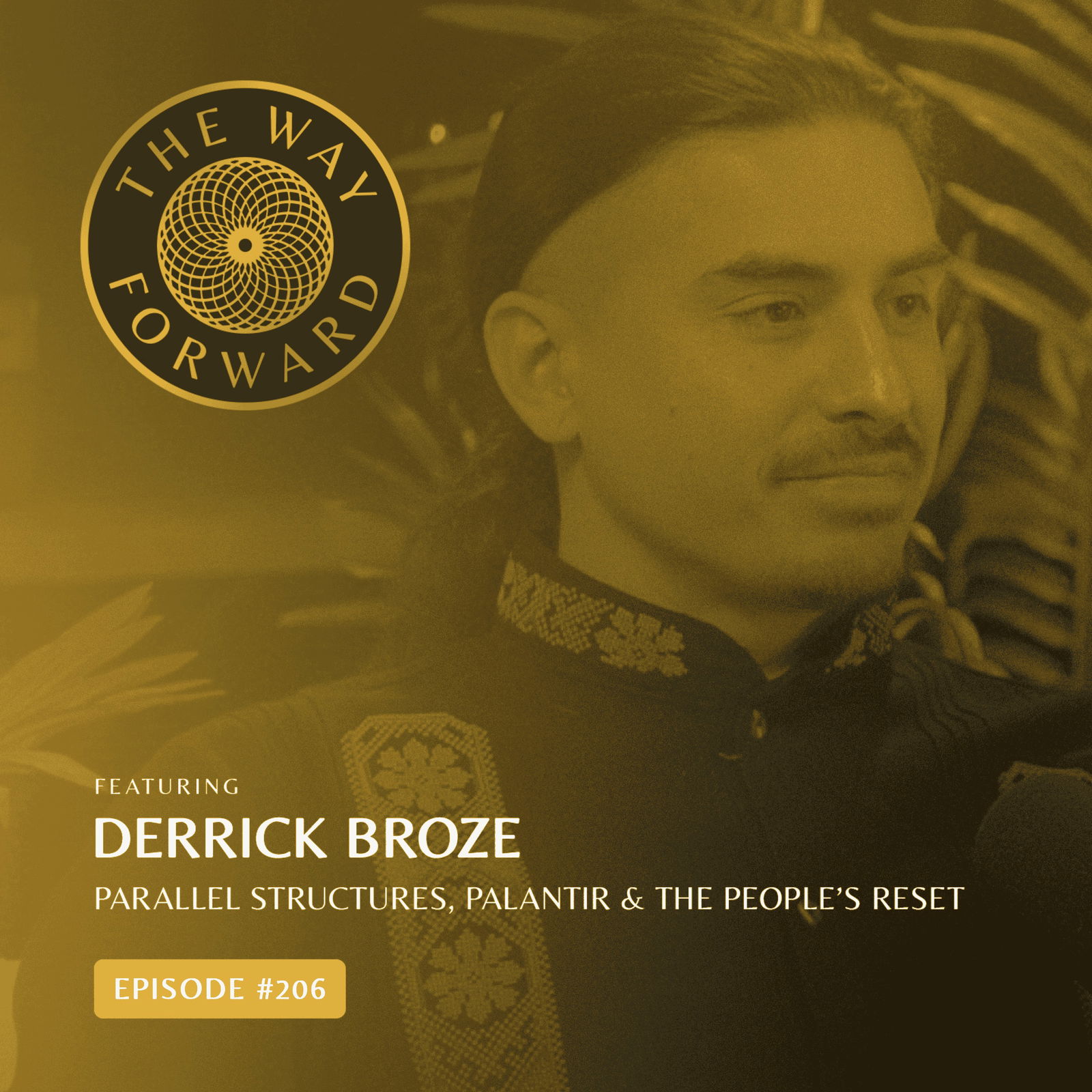 Ep 206: Parallel Structures, Palantir & The People’s Reset with Derrick Broze