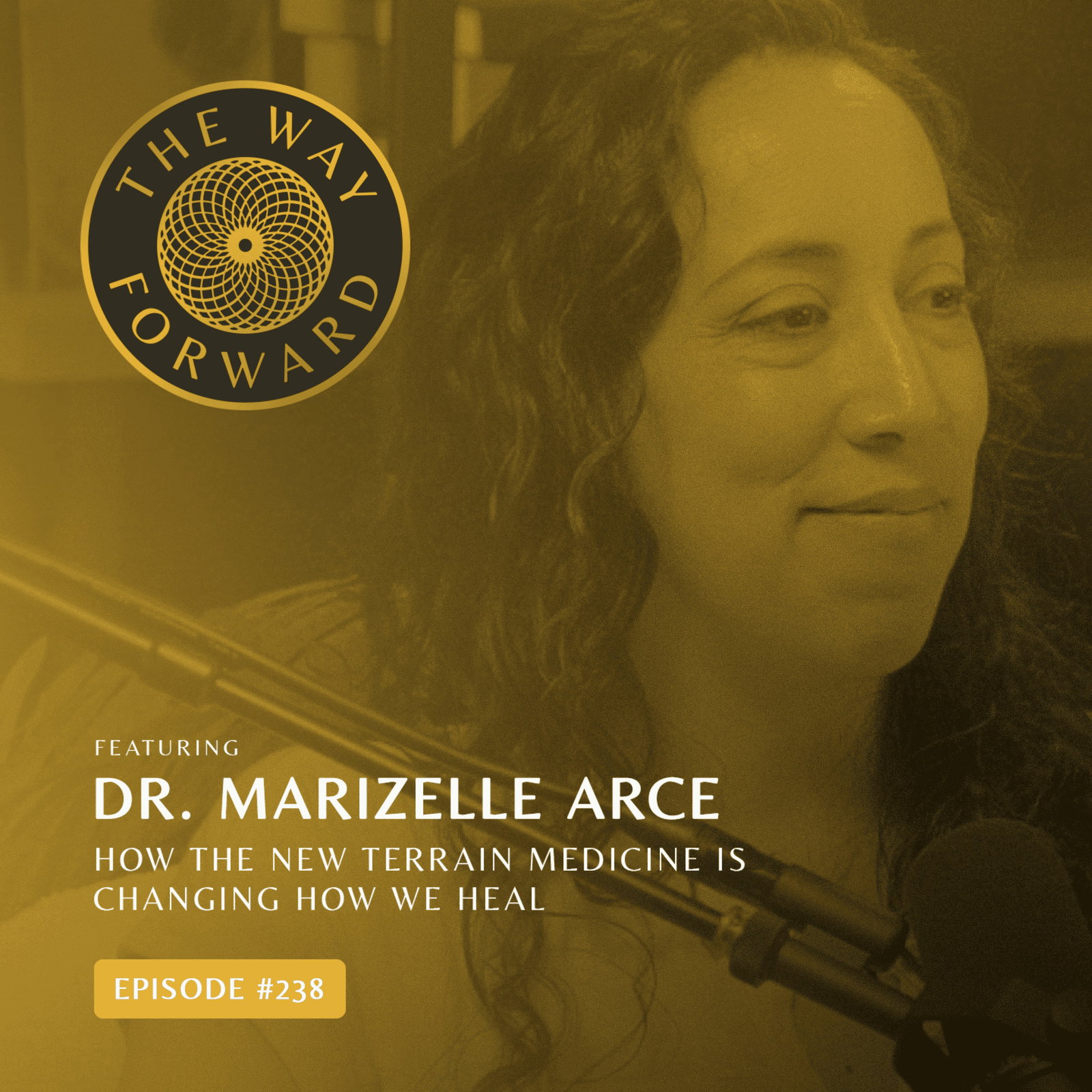 Ep 238: How The New Terrain Medicine Is Changing How We Heal with Dr. Marizelle Arce