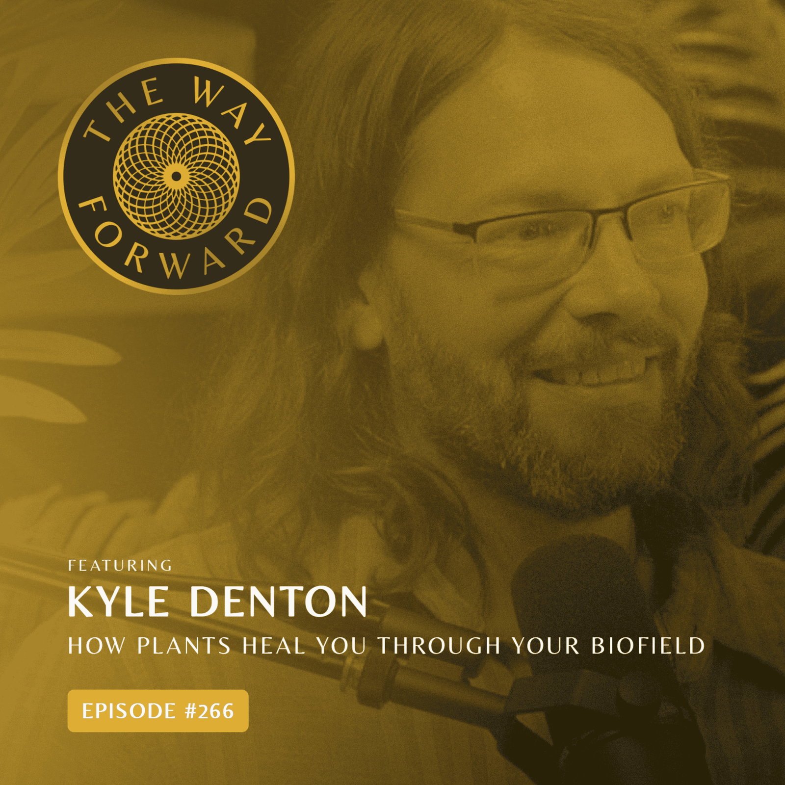 Ep 266: How to Heal Yourself By Combining Herbalism & Biofield with Kyle Denton episode artwork