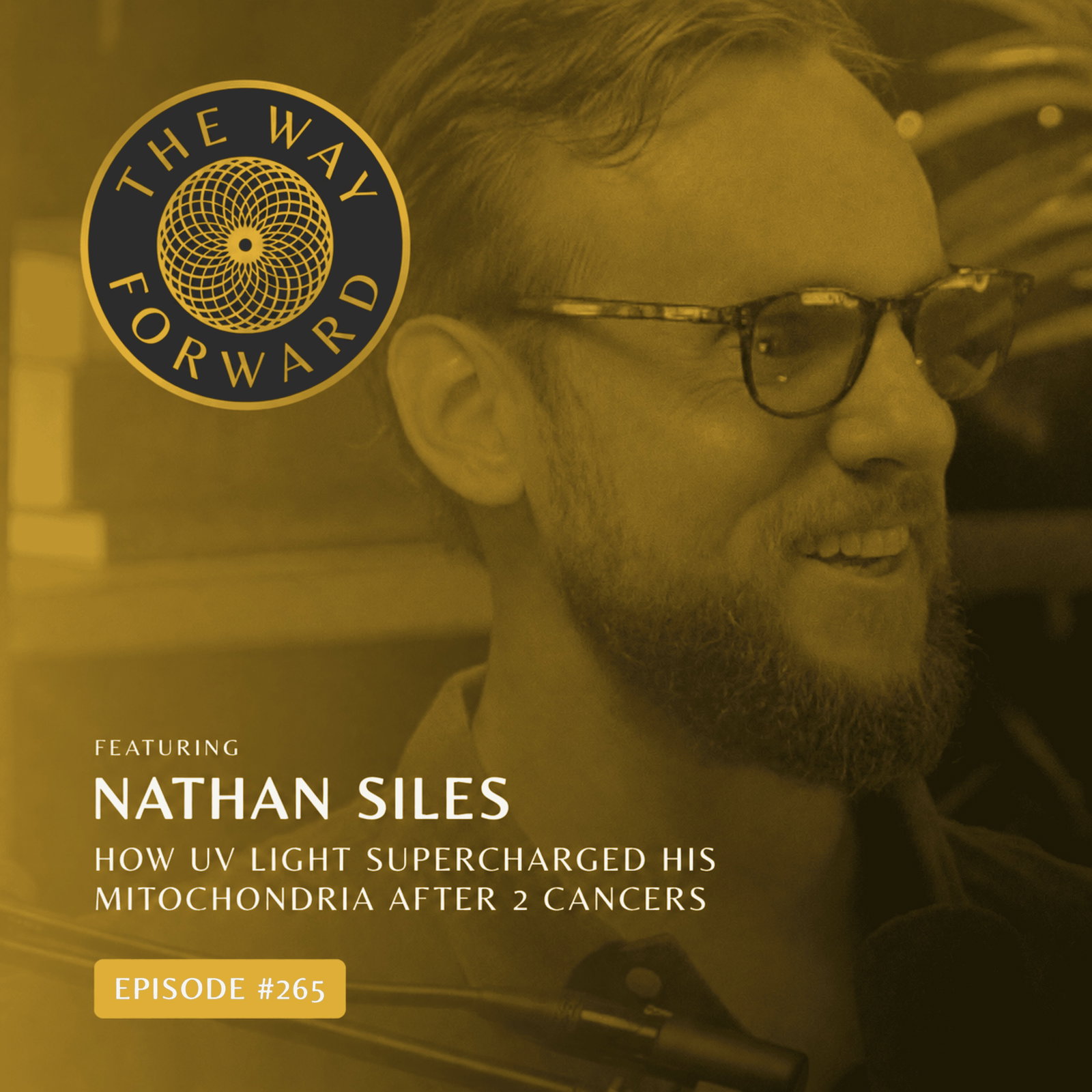 Ep 265: How He Healed 2 Cancers Using UV Light & Water with Nathan Siles