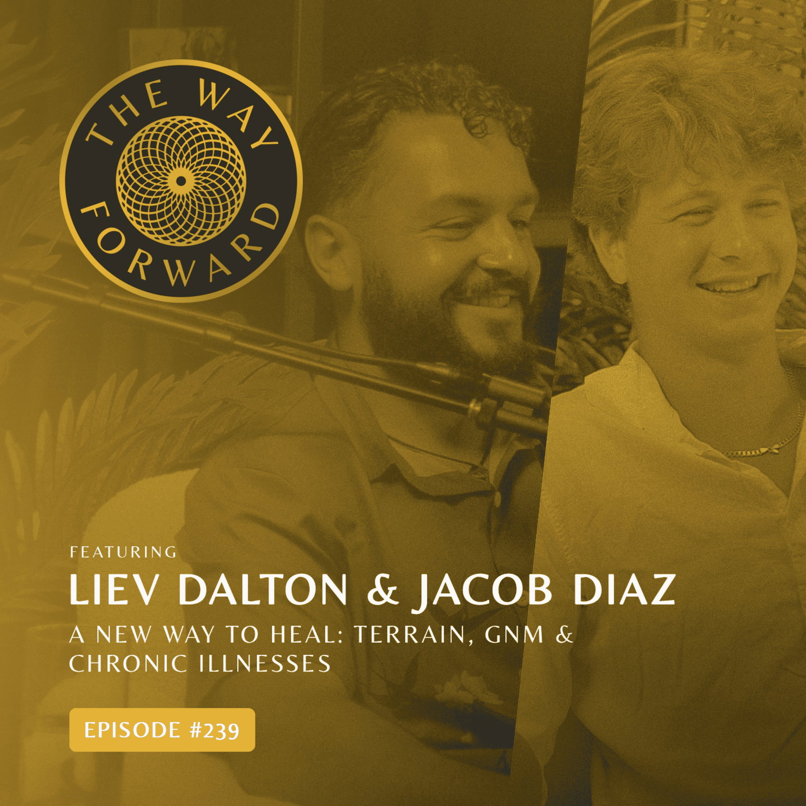 Ep 239: A New Way to Heal: Terrain, GNM & Chronic Illnesses with Liev Dalton & Jacob Diaz
