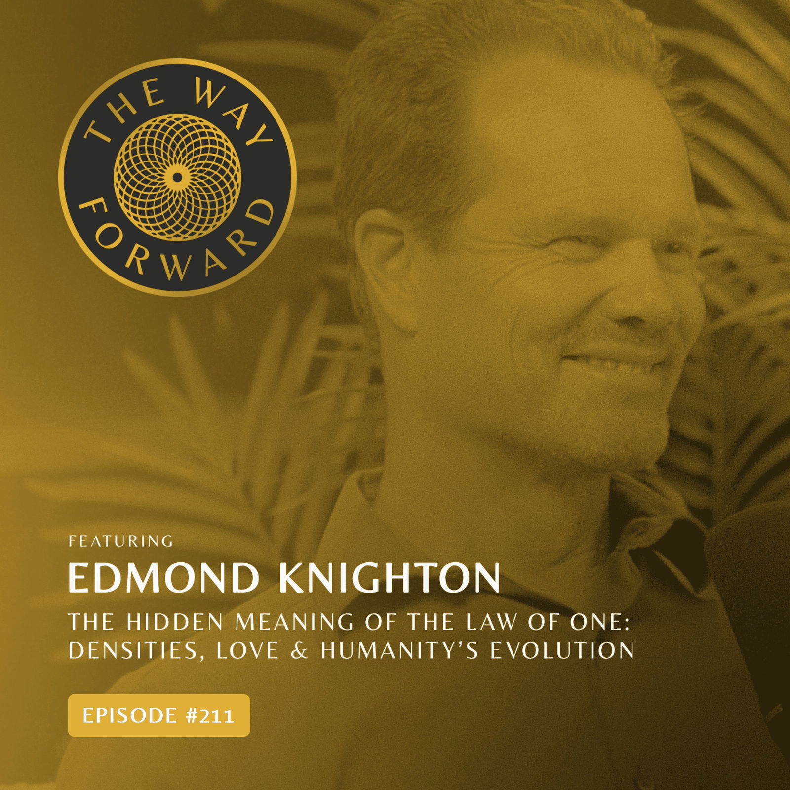Ep 211: The Hidden Meaning of The Law of One: Densities, Love & Humanity’s Evolution | Edmund Knighton