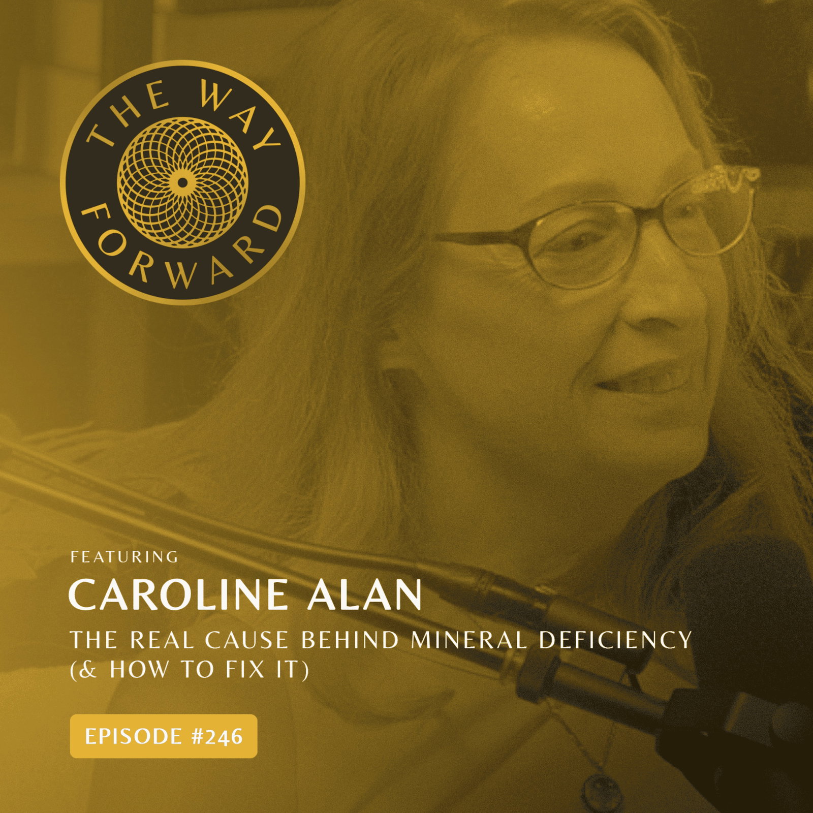 Ep 246: The Real Cause Behind Mineral Deficiency (& How to Fix It) with Caroline Alan episode artwork