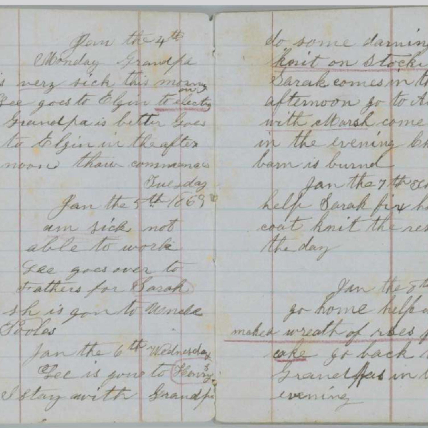 BONUS CONTENT: Rural Canadian History Moment - Diary of Jemima Ripley (1850-1919)