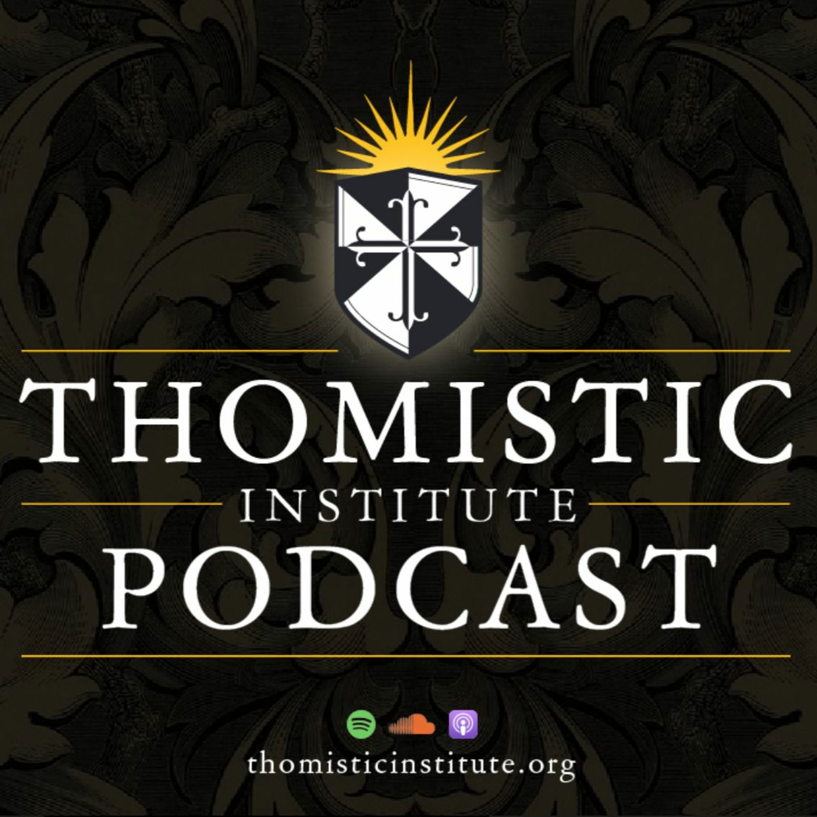 The Division of Grace in the Prima Secundae | Dr. Adam Eitel