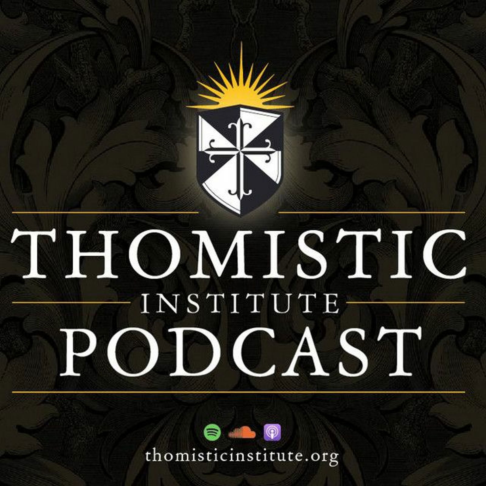 Is Aquinas a Common Doctor for the Theology of Grace? | Professor Joseph Wawrykow