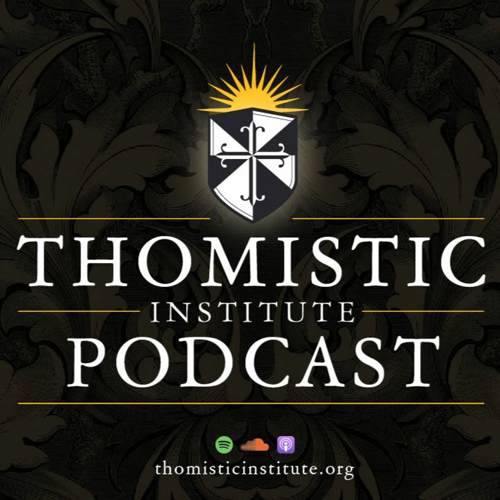 Spirit, Soul, and Body According to Thomas Aquinas | Fr. James Brent, O.P.