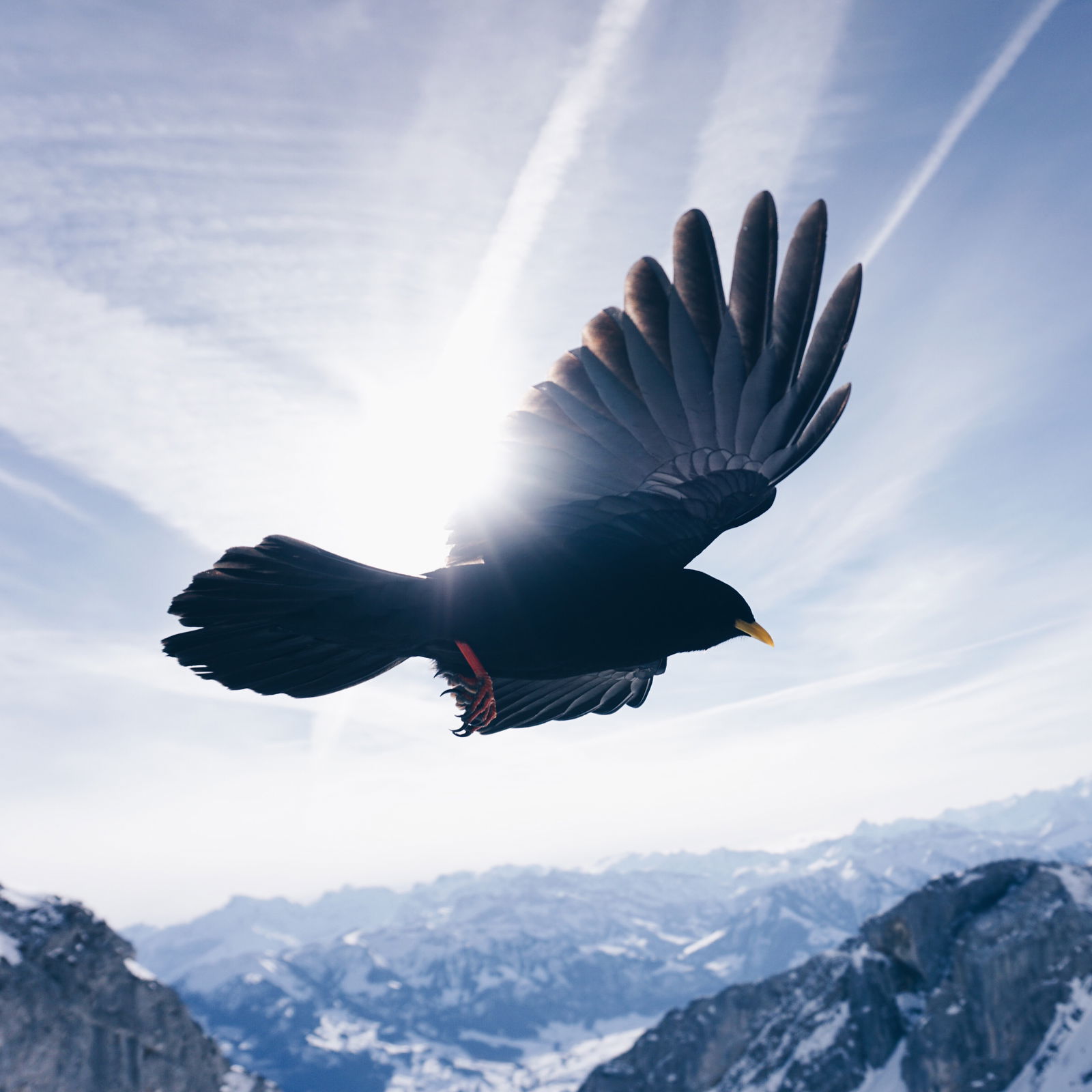 30. The Freedom of Surrender: How to Let Go