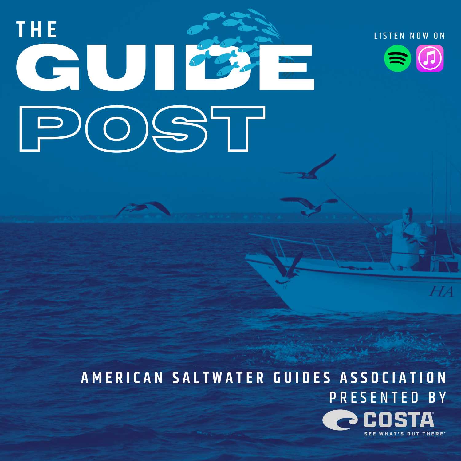 EP003: Massachusetts Public Hearing | Licenses, Moratoriums & Tony's Favorite Colors |