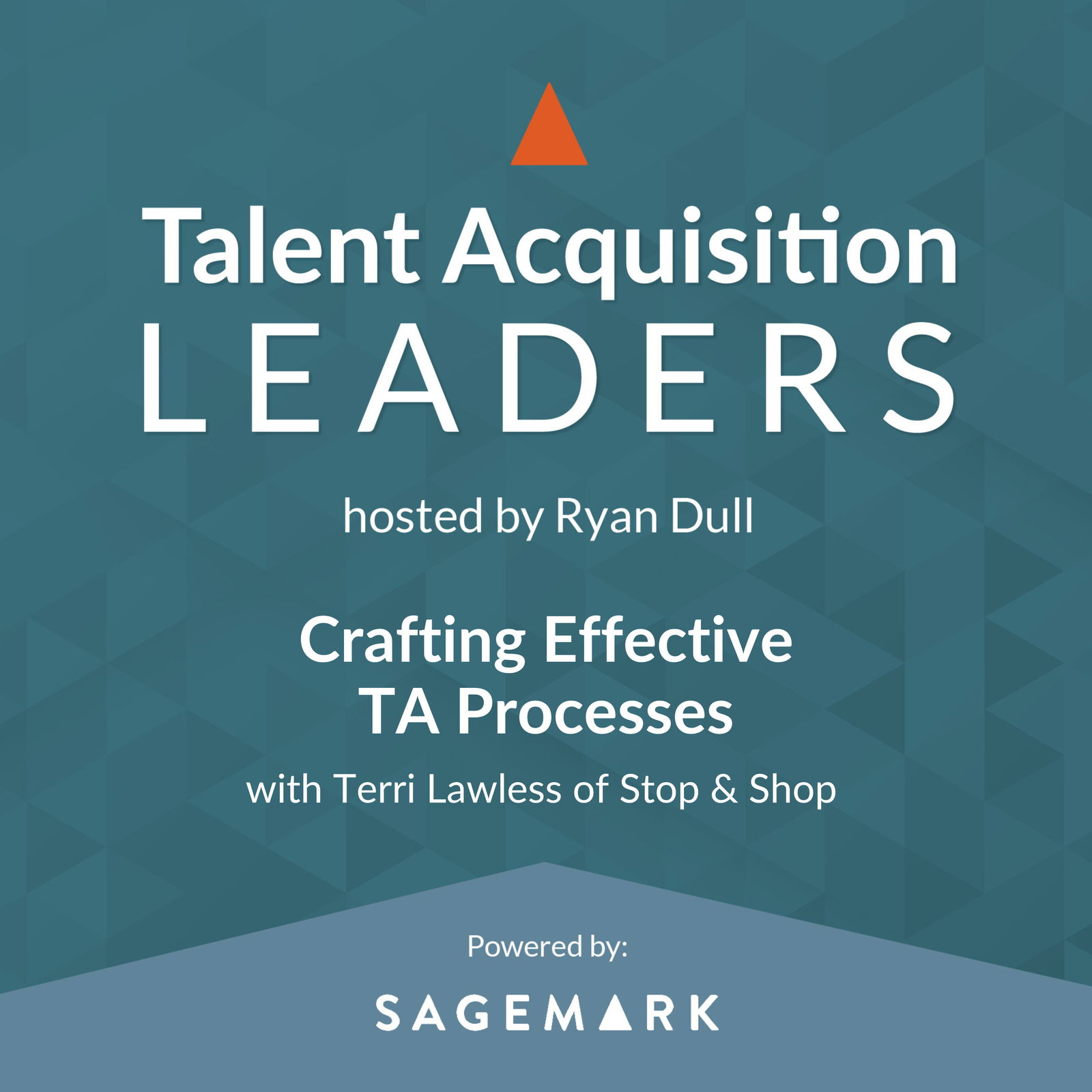 Crafting Effective TA Processes with Terri Lawless of Stop & Shop