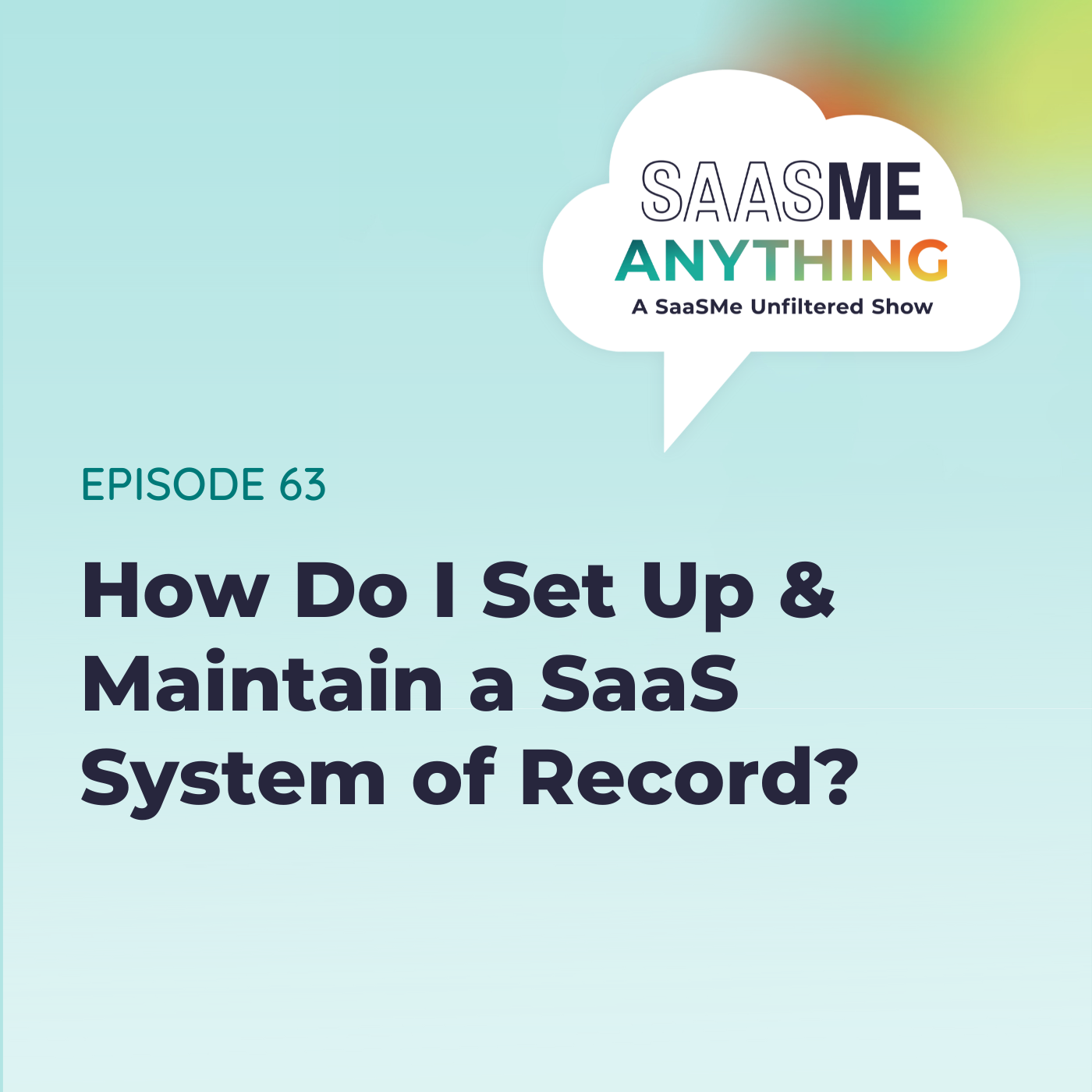 SaaSMe Unfiltered: The SaaS Management Podcast