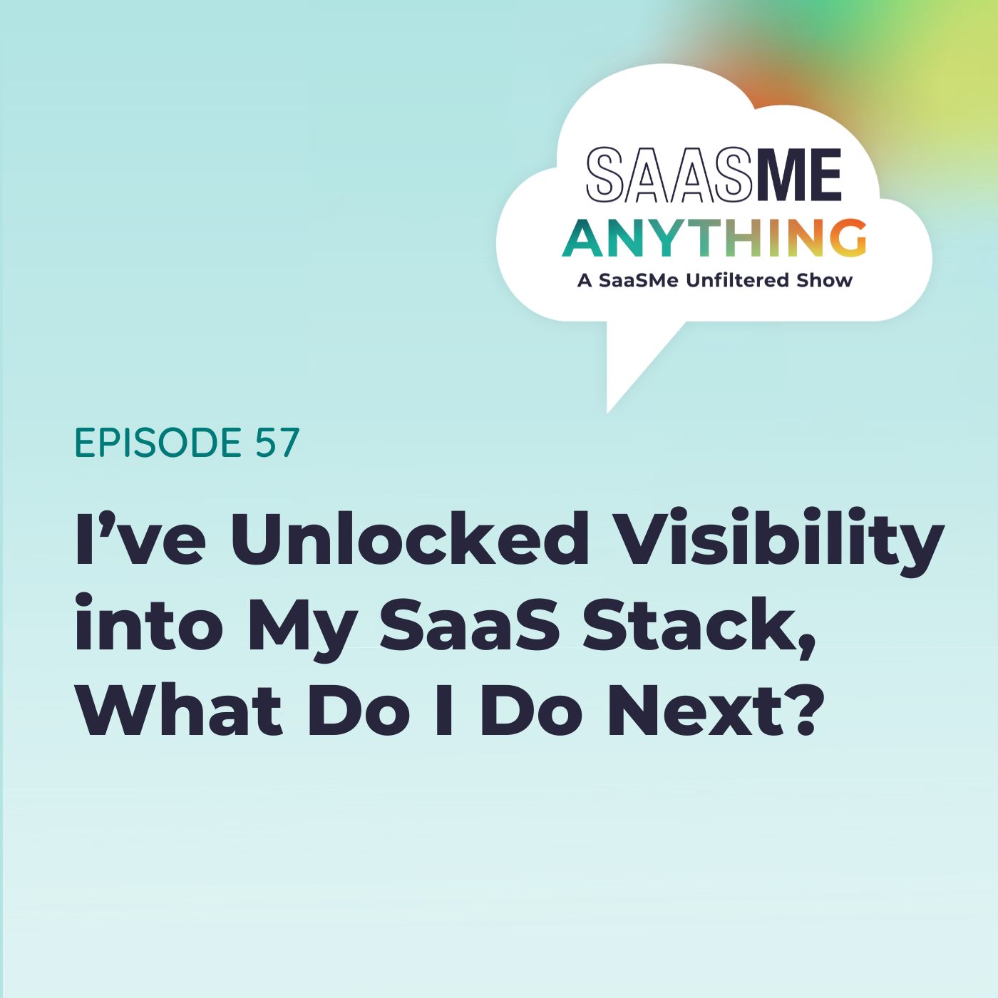 SaaSMe Unfiltered: The SaaS Management Podcast