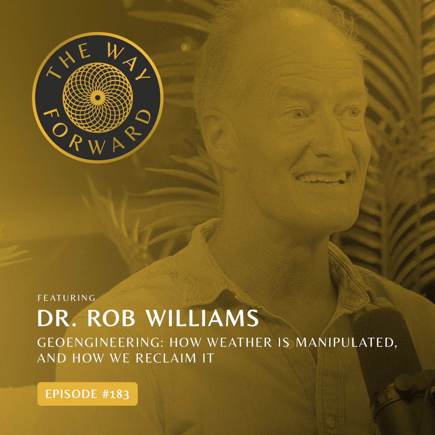 The Way Forward with Alec Zeck