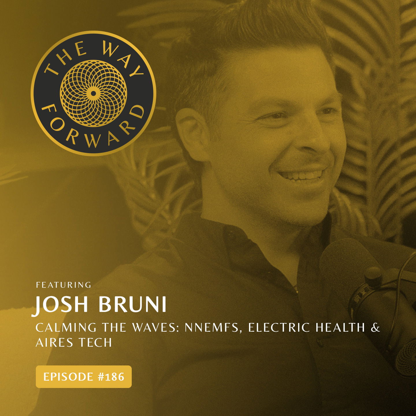 Ep 186: Calming the Waves: nnEMFs, Electric Health & Aires Tech with Josh Bruni
