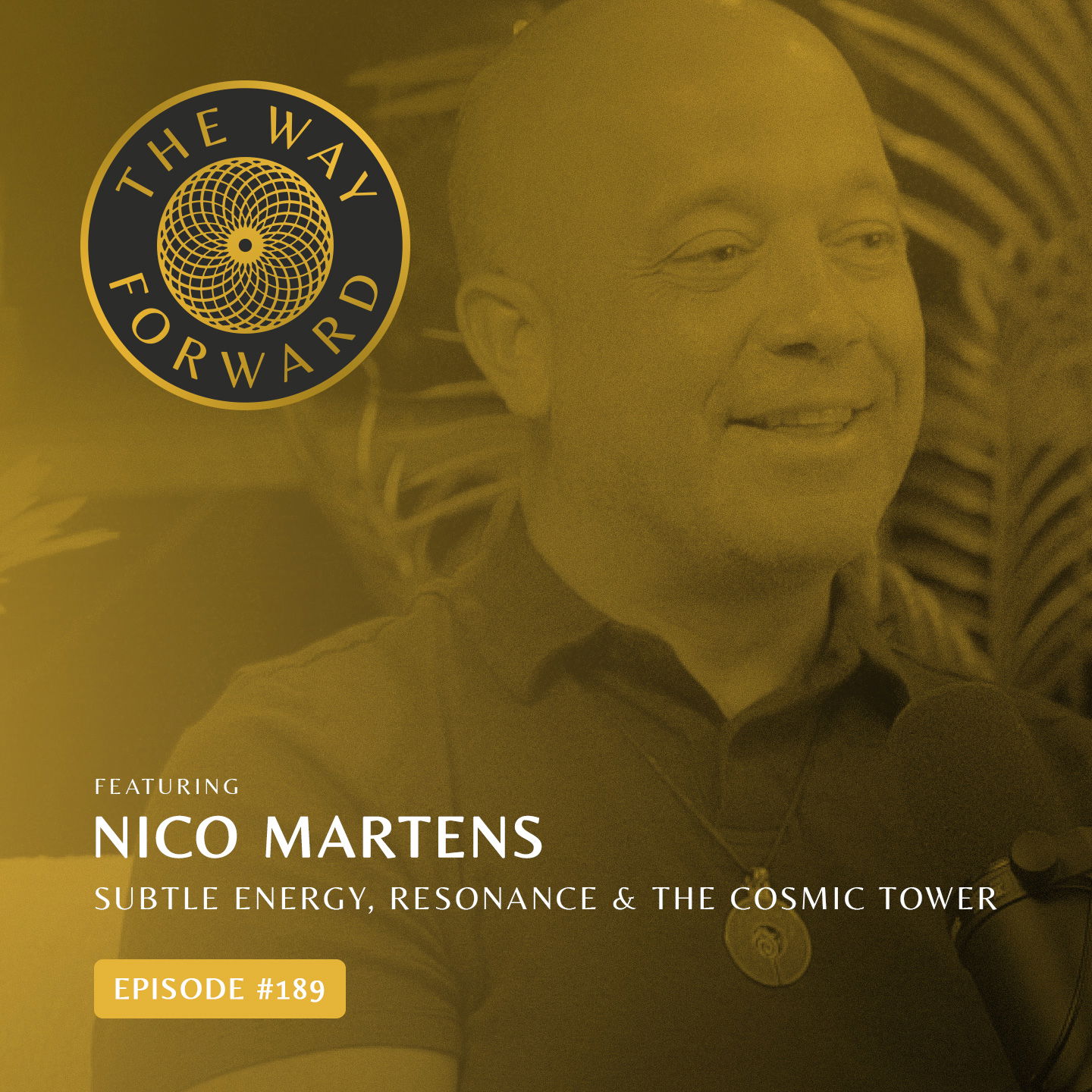 Ep 189: Subtle Energy, Resonance & the Cosmic Tower with Nico Martens