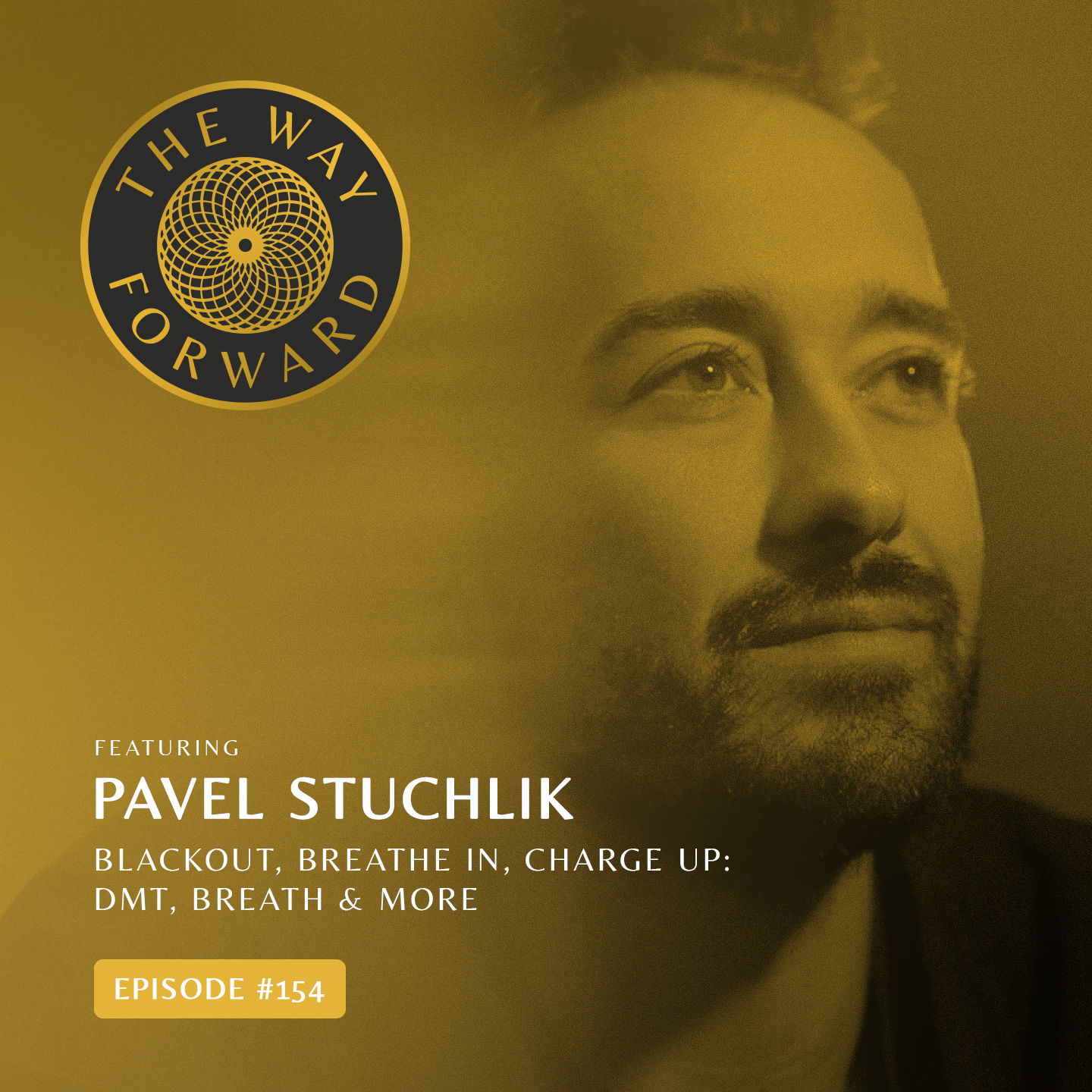 Ep 154: Blackout, Breathe In, Charge Up: DMT, BREATH & MORE with Pavel Stuchlik