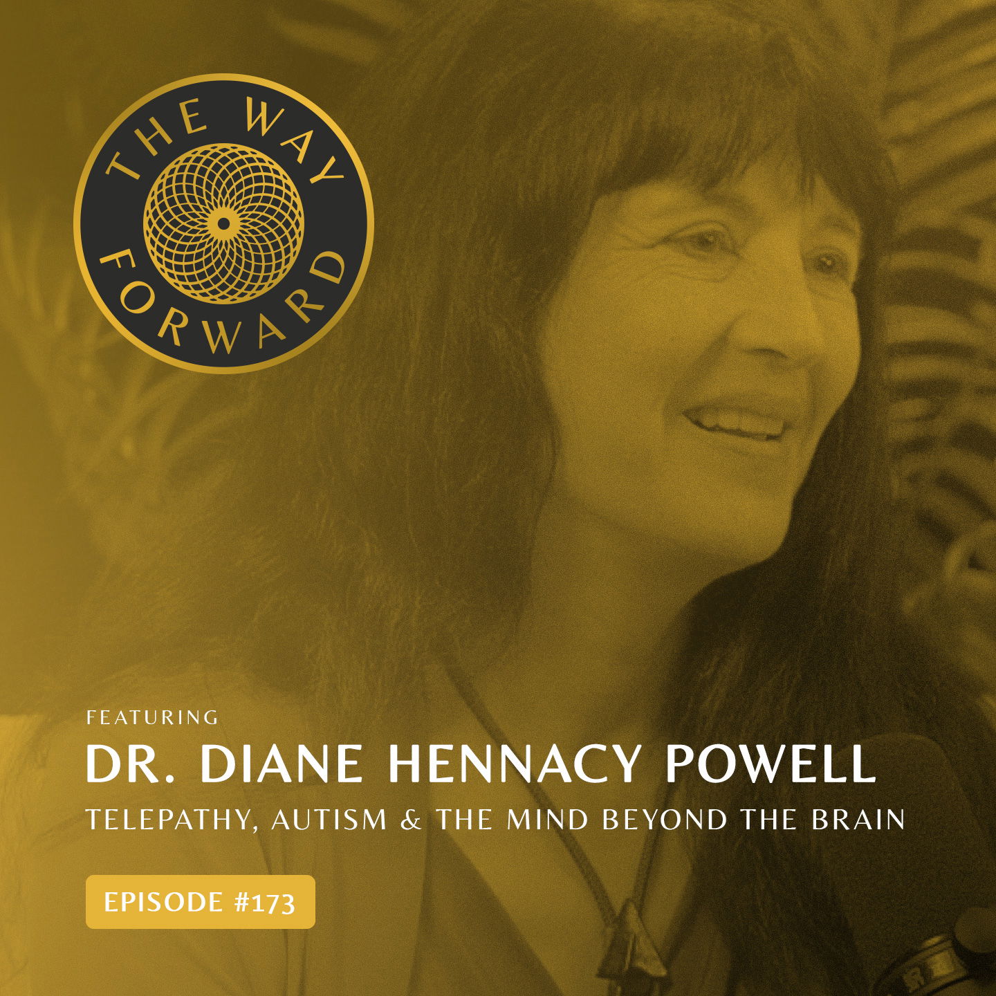 The Way Forward with Alec Zeck