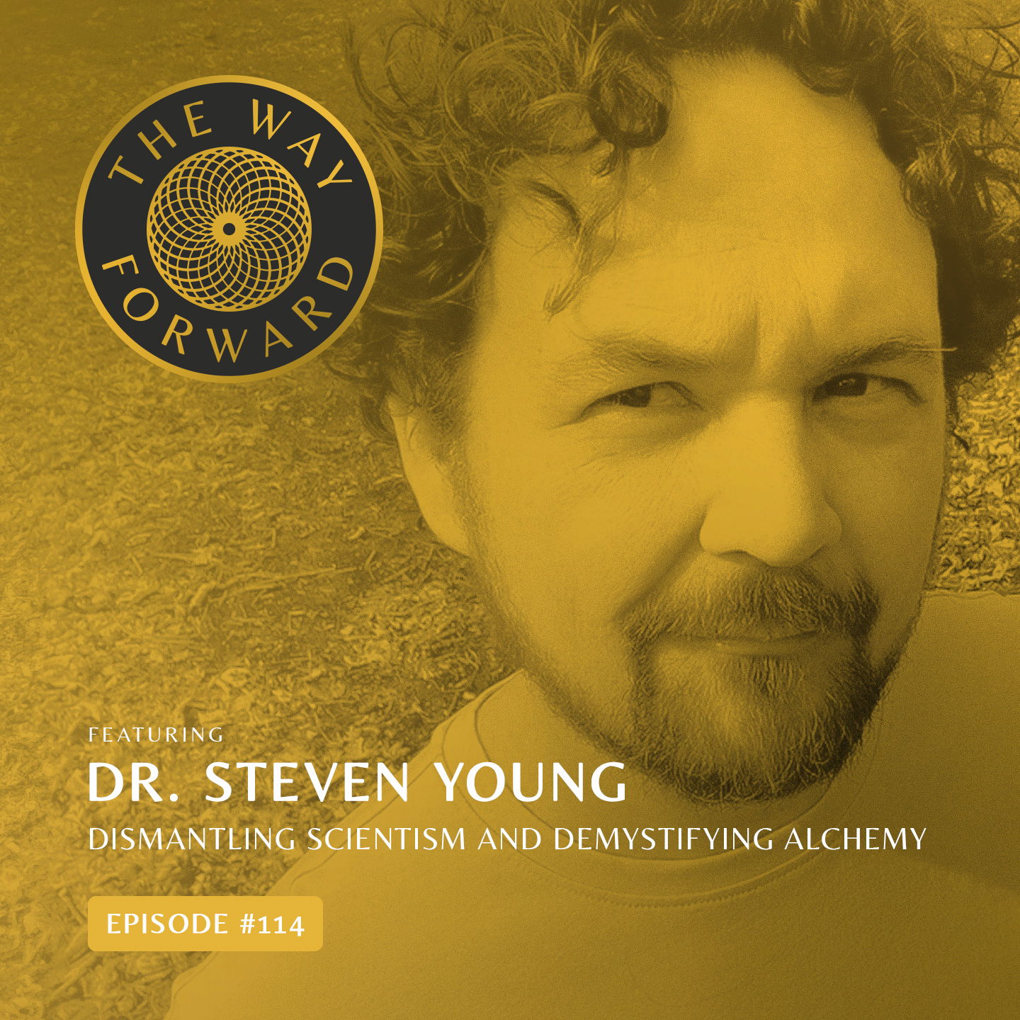 Ep 114: Dismantling Scientism and Demystifying Alchemy with Dr. Steven Young
