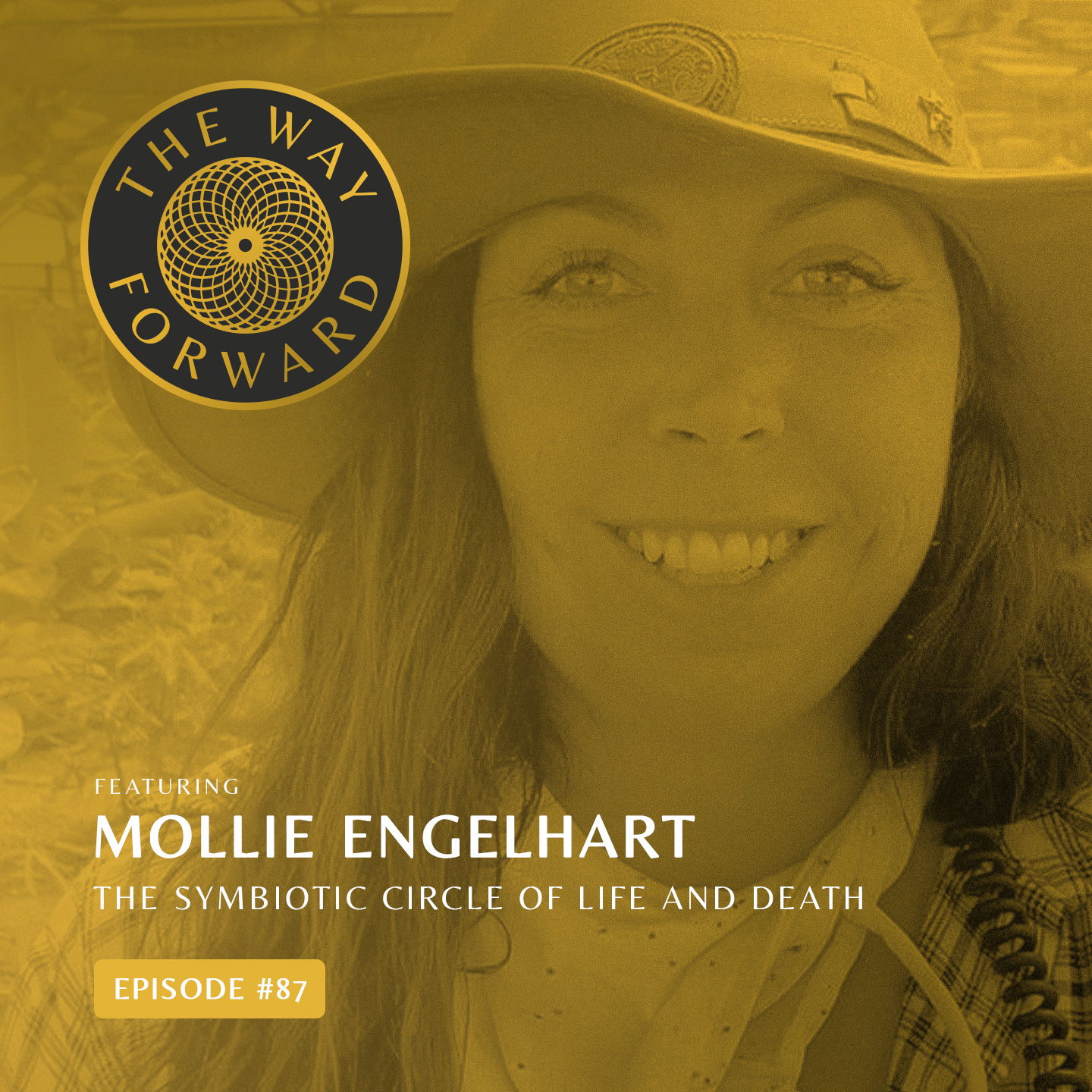 The Way Forward with Alec Zeck